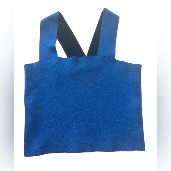 A.L.C. Blue Metallic La Top Size Large - Picture 1 of 6